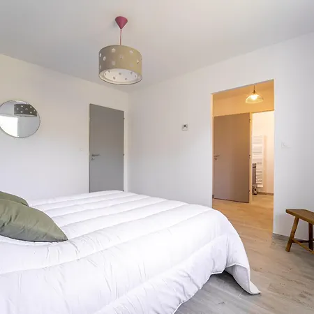 Moderne A Au Coeur De La Foret