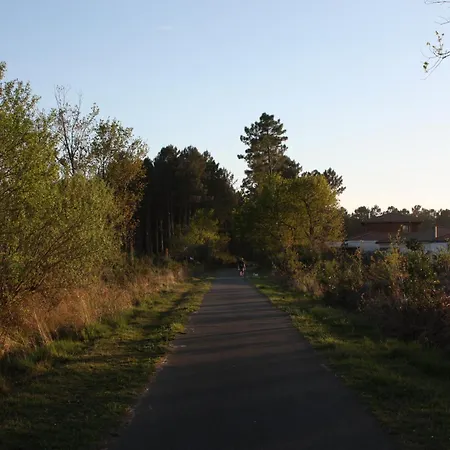 Feriehus Moderne A Au Coeur De La Foret *